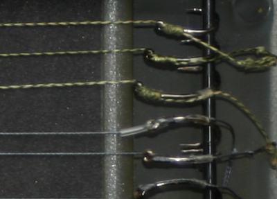 Korda Tackle - kordarigsafe02.jpg